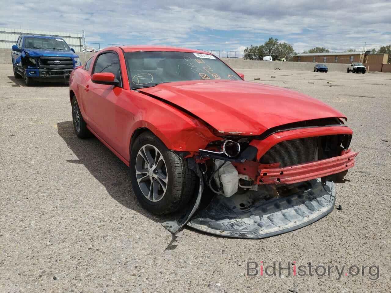 Photo 1ZVBP8AM1E5201210 - FORD MUSTANG 2014