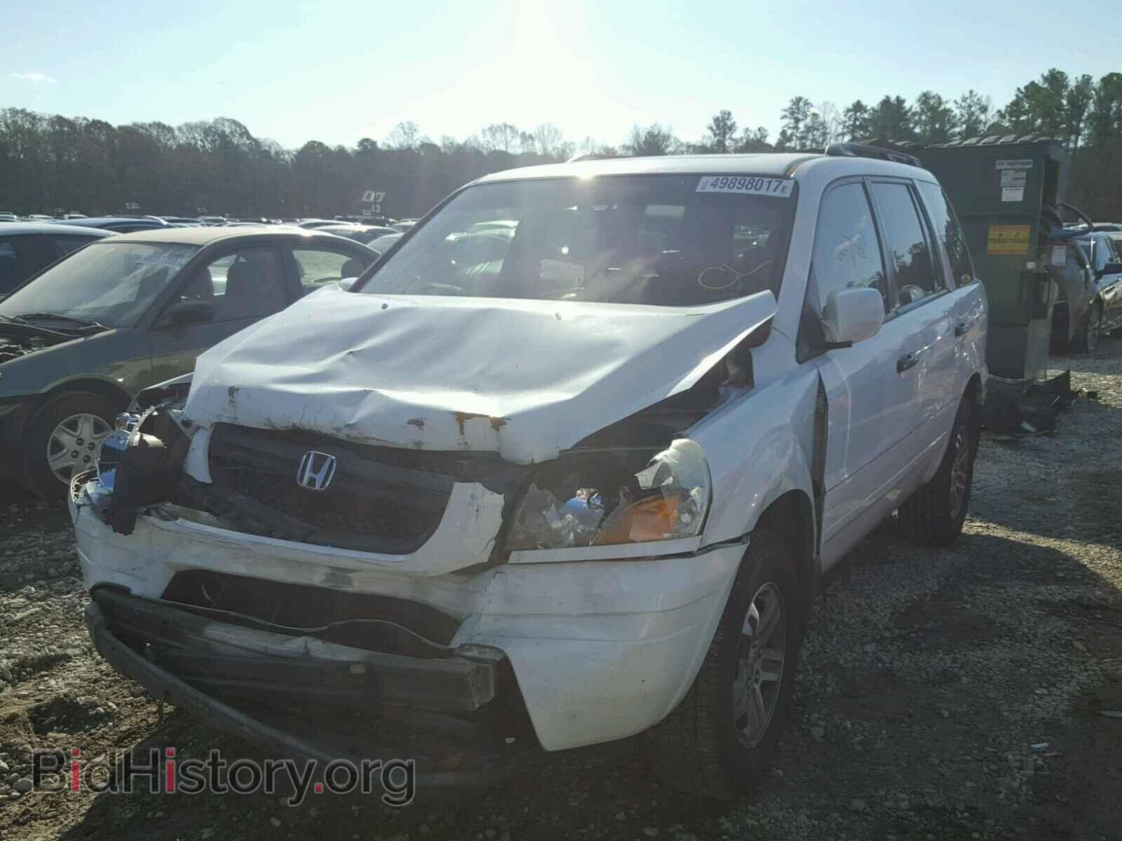 2005 HONDA PILOT - VIN: 5FNYF18615B010318 - Фото 2