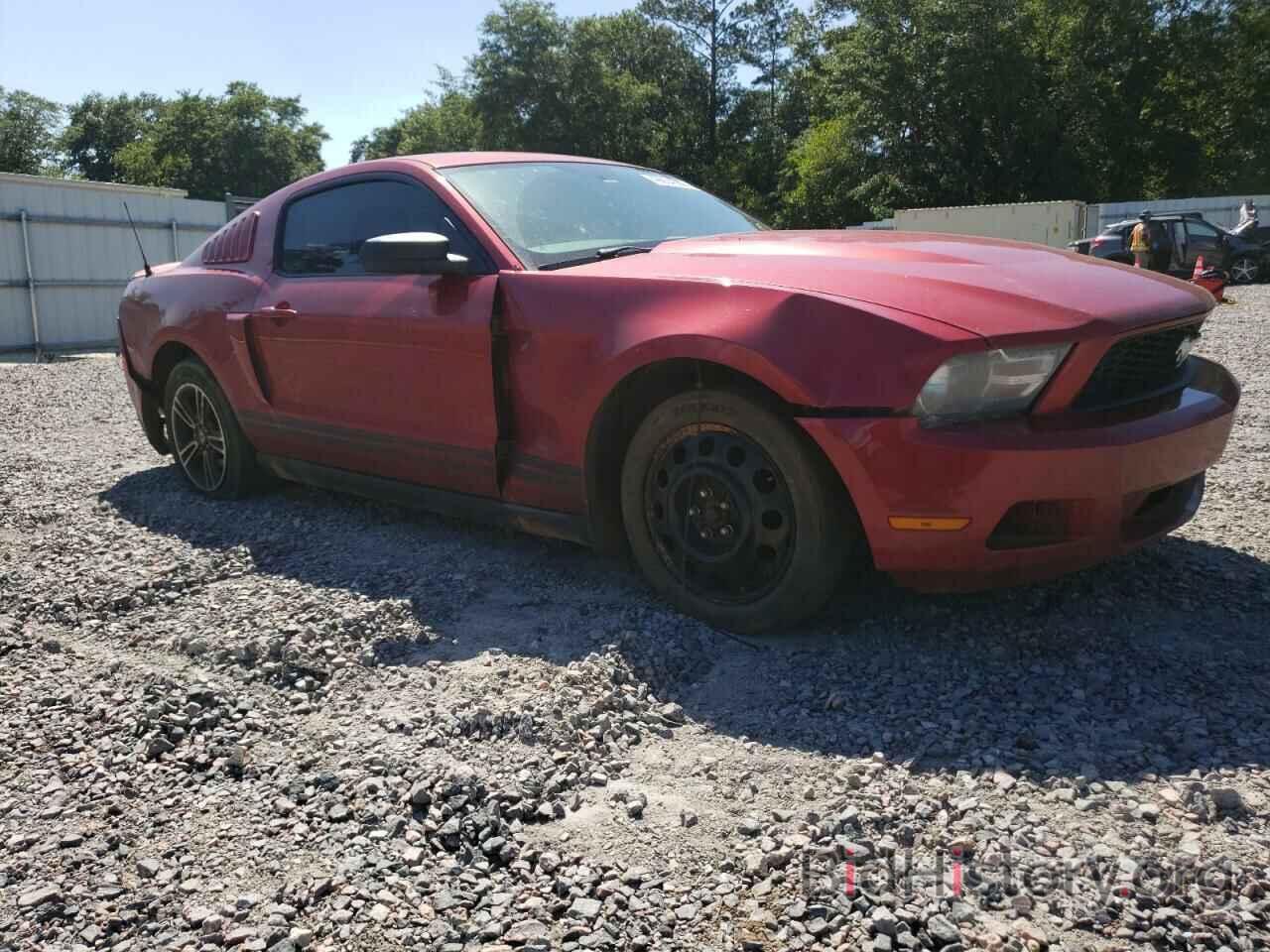 Photo 1ZVBP8AN0A5143917 - FORD MUSTANG 2010