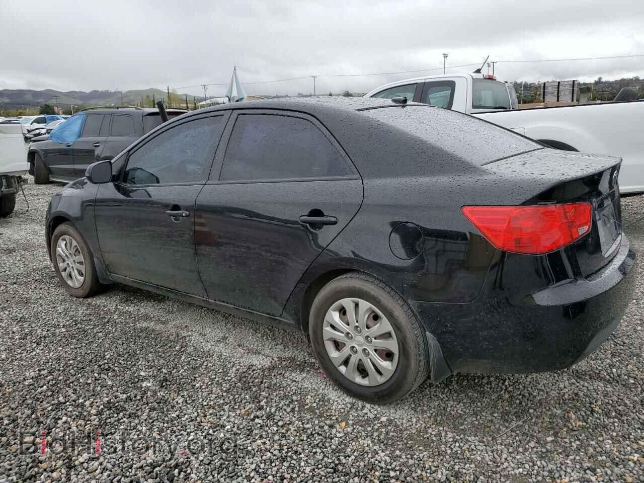 2011 KIA FORTE - VIN: KNAFU4A20B5424061 - Фото 2