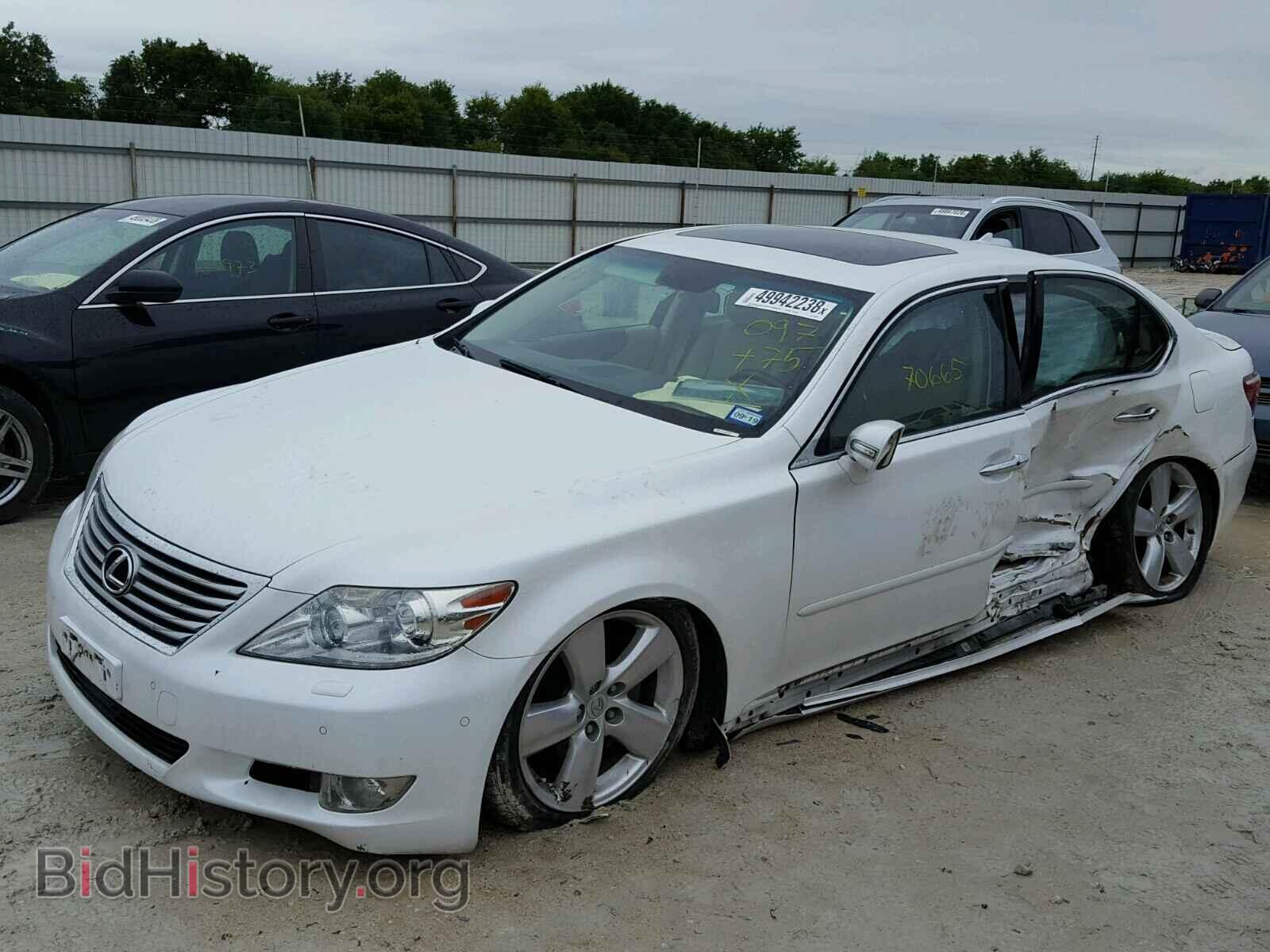 2010 LEXUS LS460 - VIN: JTHBL5EF6A5097475 - Фото 2