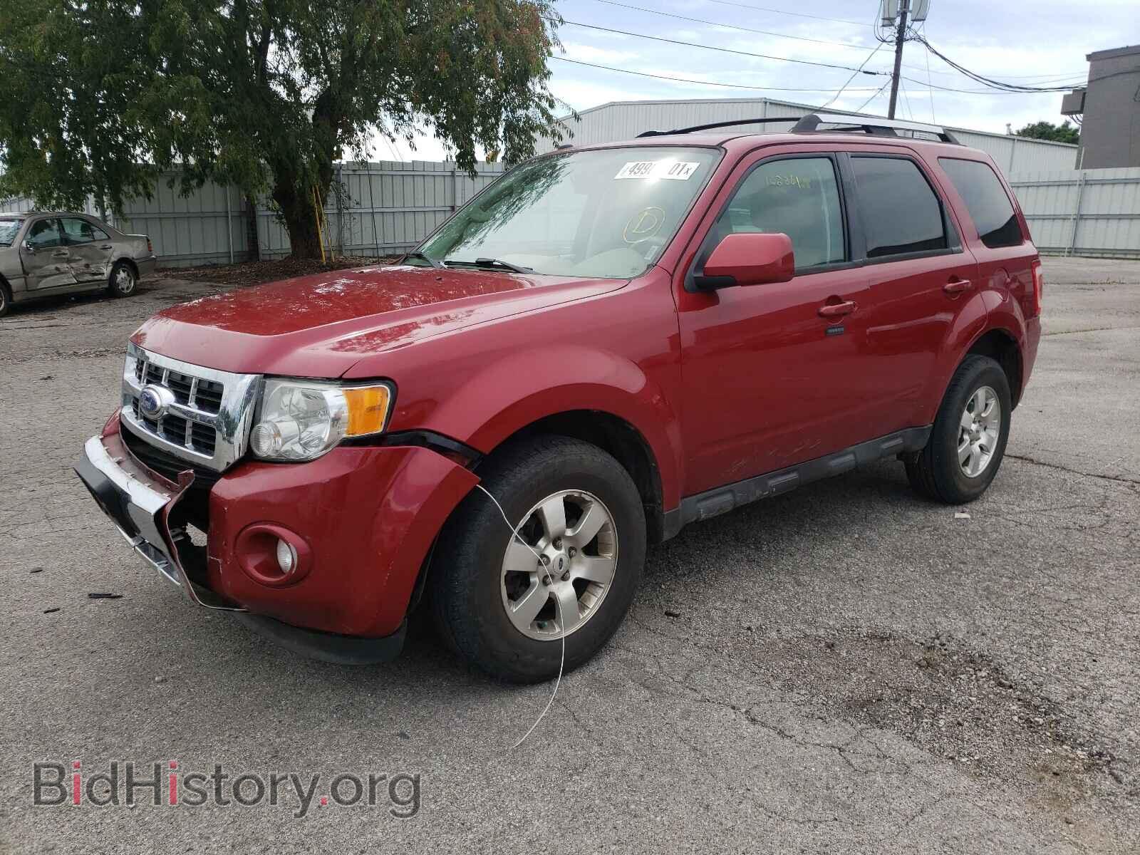 2011 FORD ESCAPE - VIN: 1FMCU9EG5BKC19017 - Фото 2