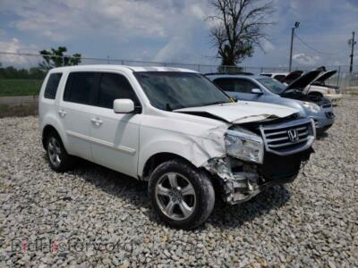 2014 Honda PILOT Pilot EXL, белый — VIN 5FNYF3H55EB028811, Copart