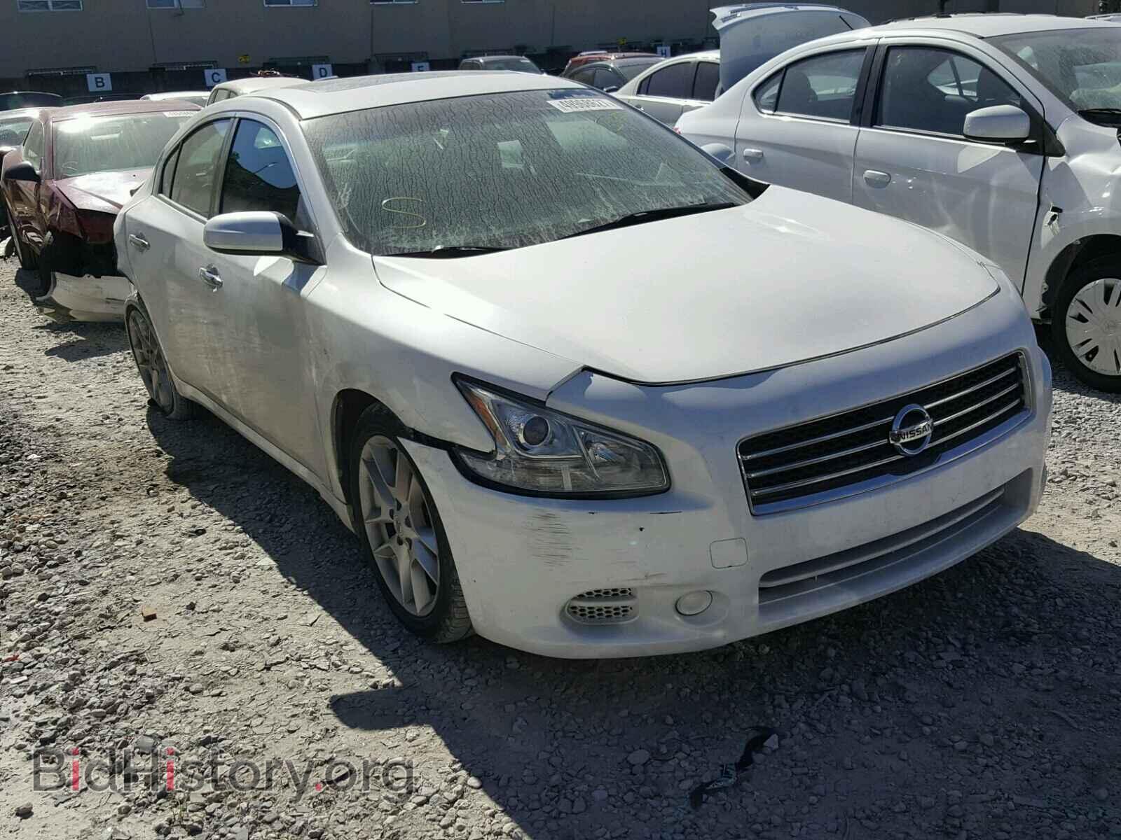 Фотография 1N4AA5AP1AC812052 - NISSAN MAXIMA S 2010