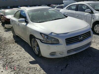 2010 Nissan MAXIMA S, white — VIN 1N4AA5AP1AC812052, Copart