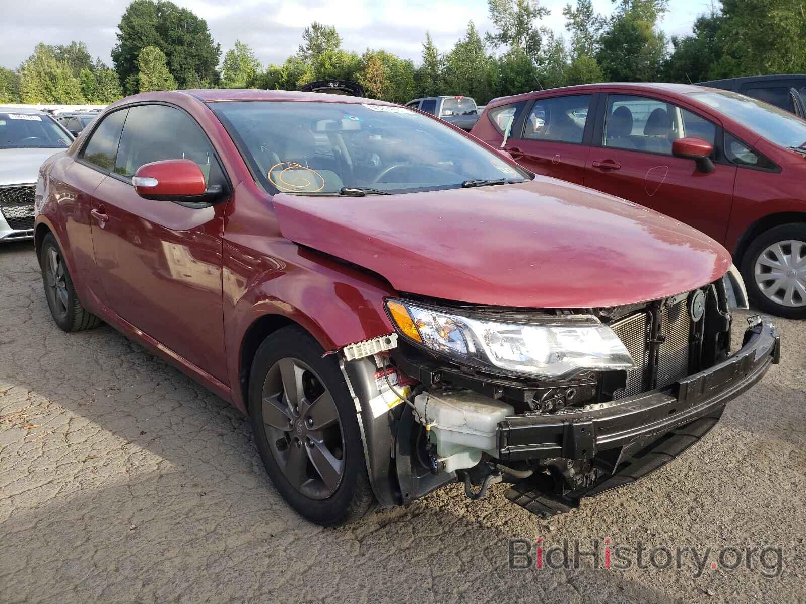 Photo KNAFU6A22A5164157 - KIA FORTE 2010