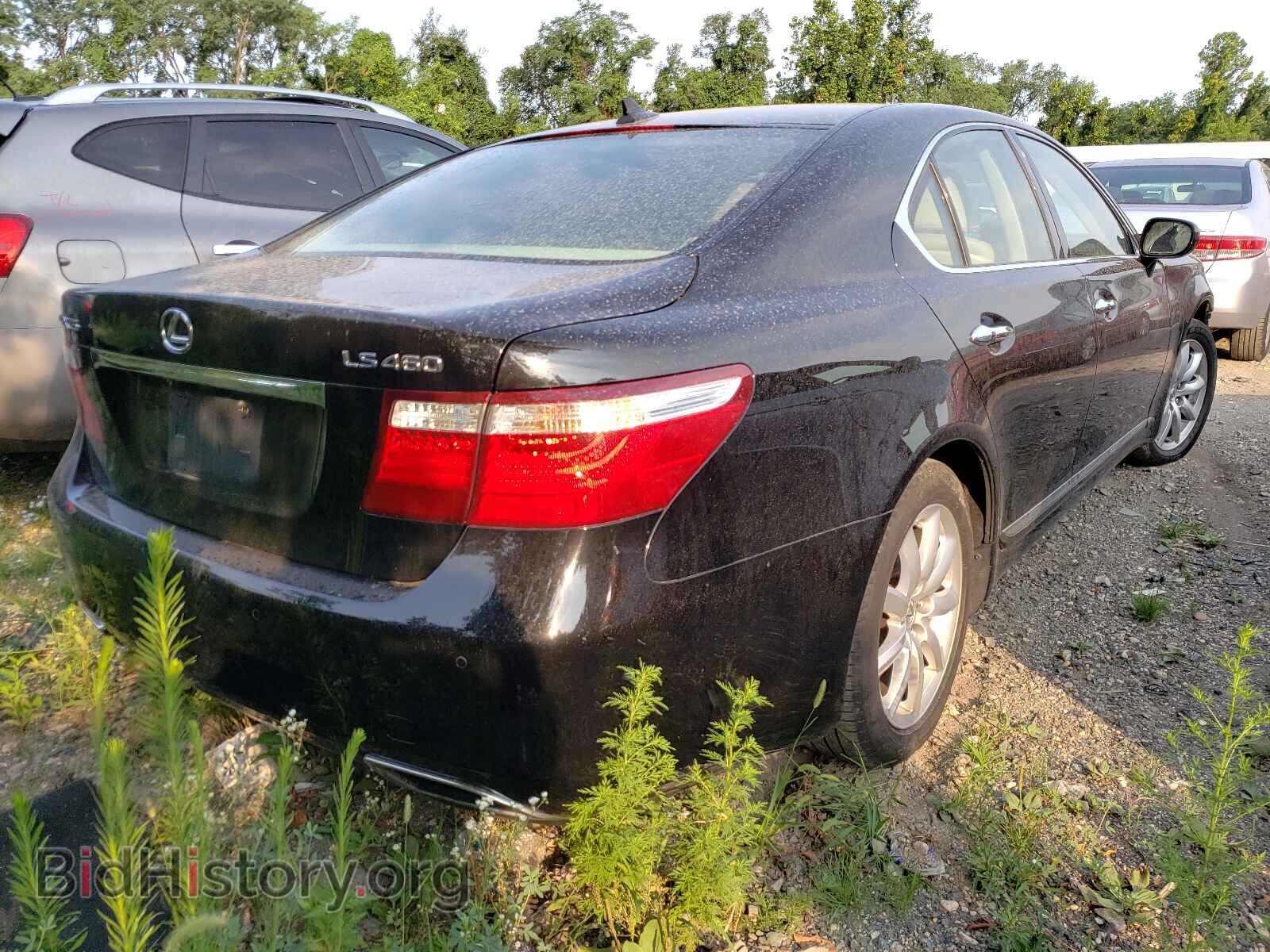 2009 LEXUS LS460 - VIN: JTHBL46F395088494 - Фото 4