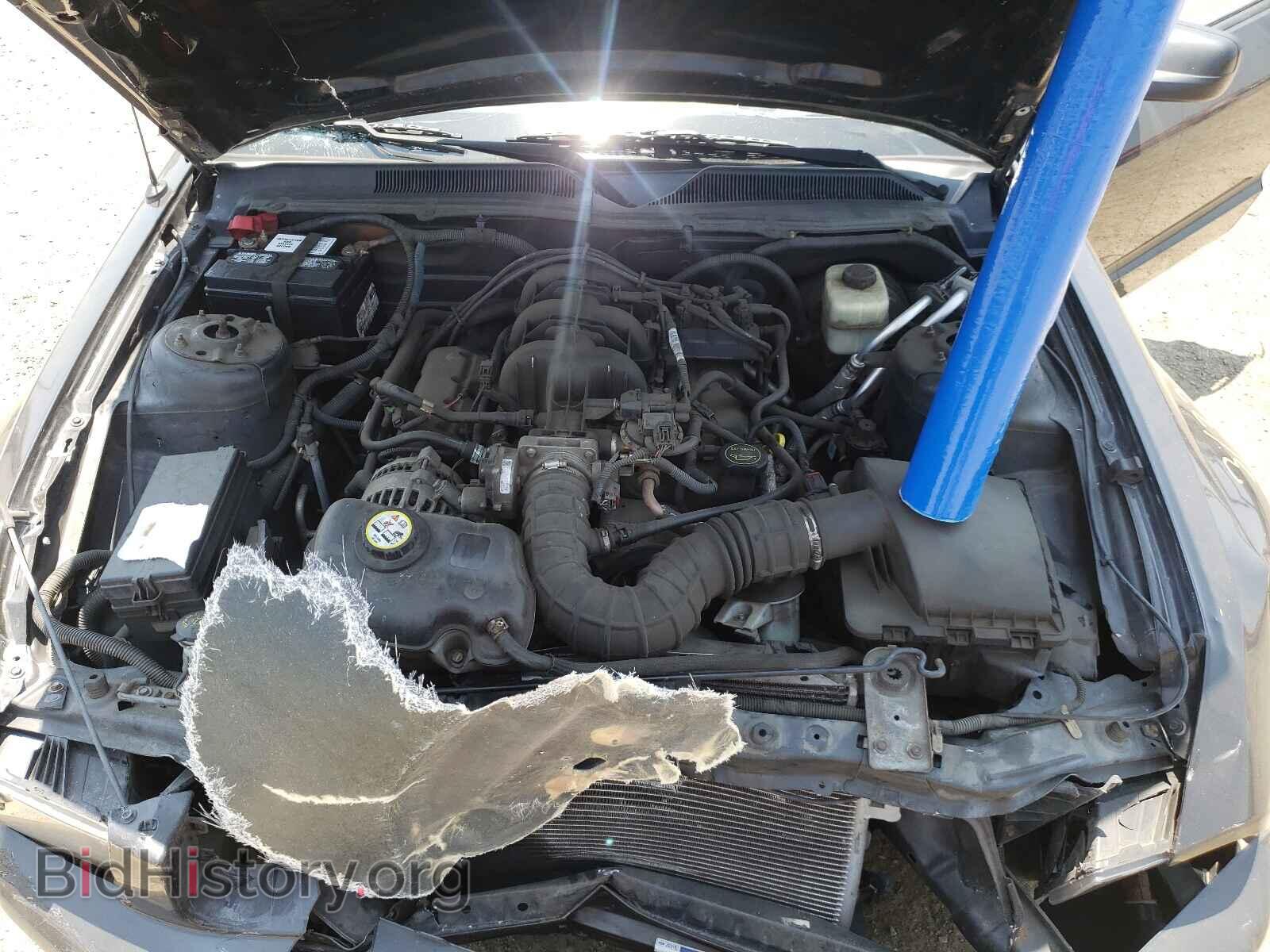 2008 FORD MUSTANG - VIN: 1ZVHT84N285177465 - Фото 7