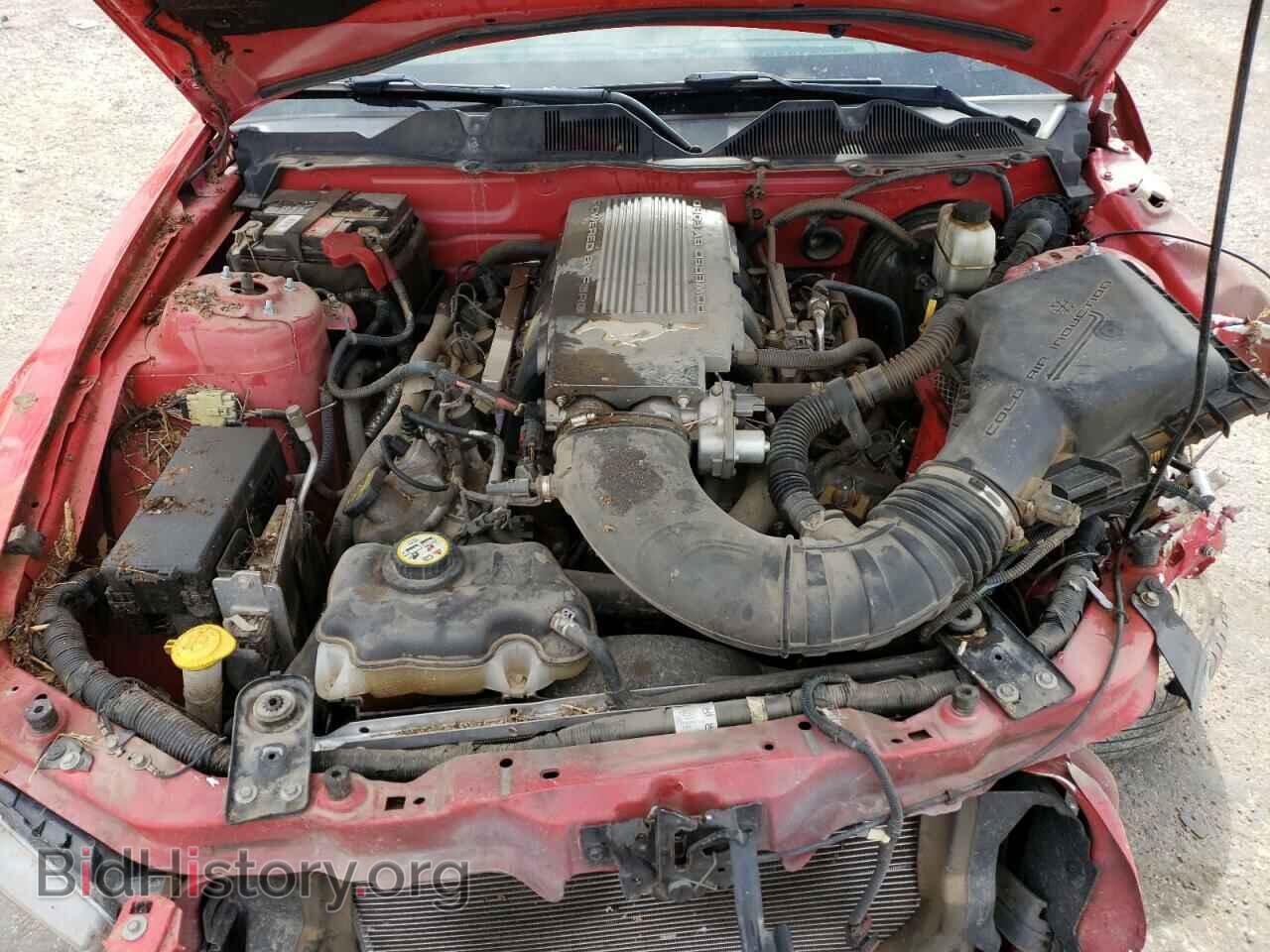 2010 FORD MUSTANG - VIN: 1ZVBP8CH6A5111609 - Фото 11