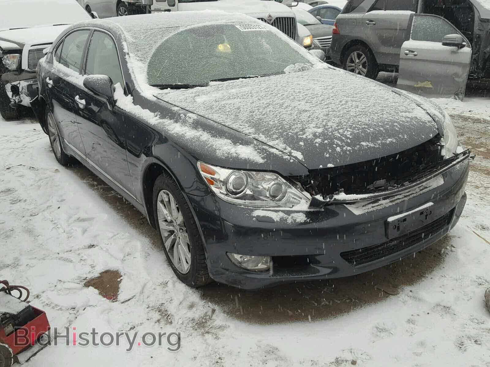 Фотография JTHDL5EF7A5001443 - LEXUS LS460 2010