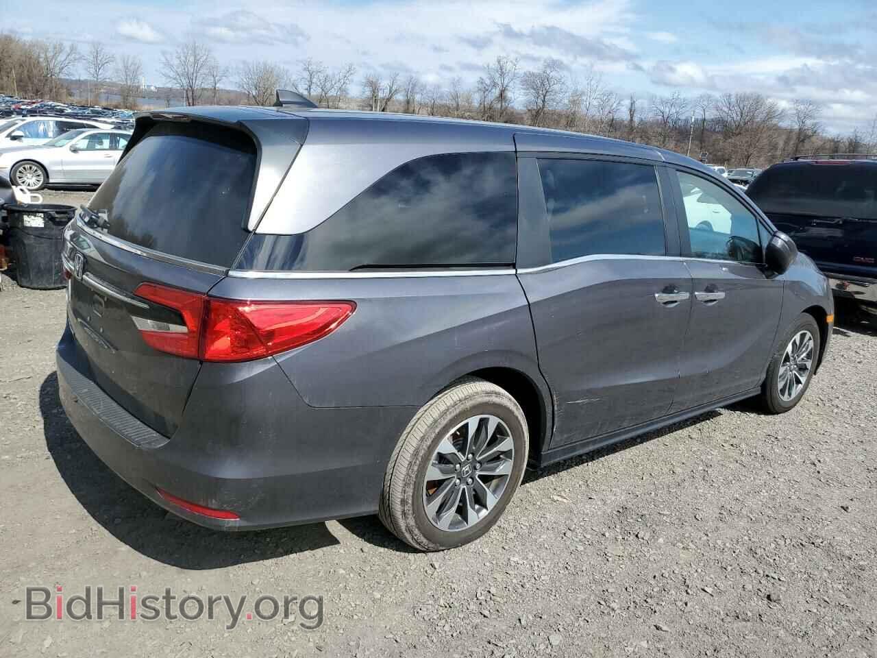 2024 HONDA All Models - VIN: 5FNRL6H66RB039099 - Фото 3