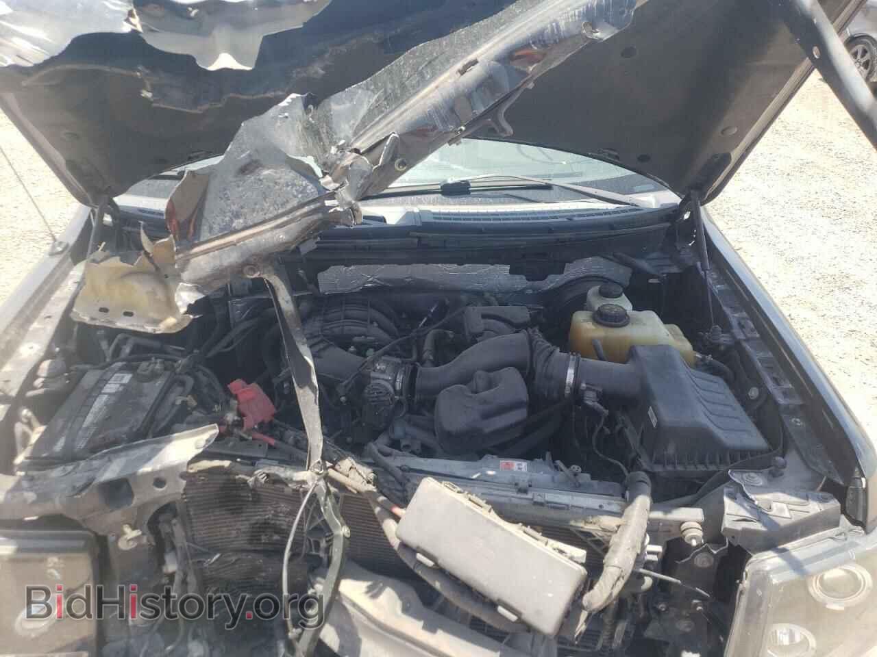 2013 FORD F150 - VIN: 1FTMF1CMXDKF33763 - Фото 7