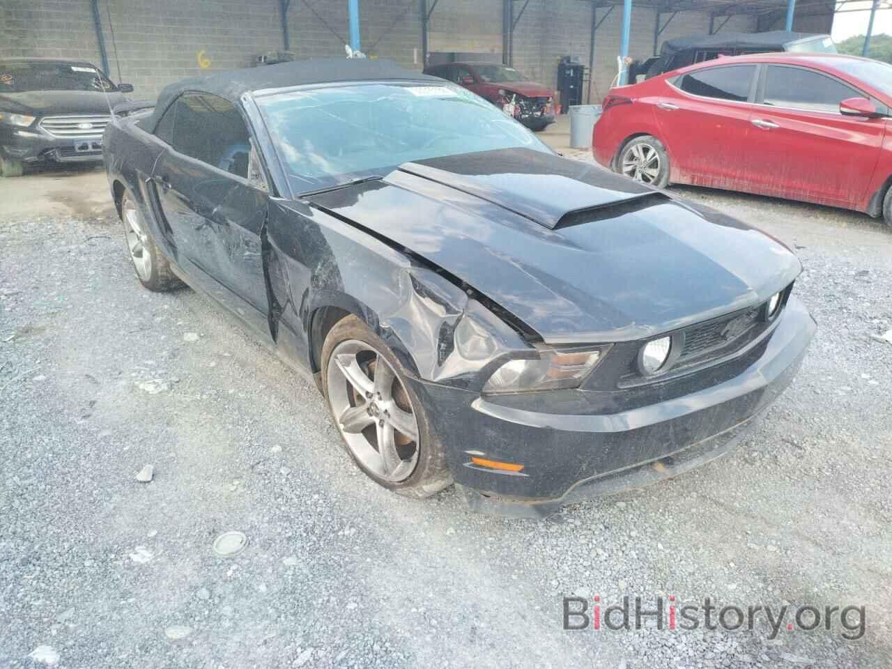 Photo 1ZVBP8FH5A5105764 - FORD MUSTANG 2010
