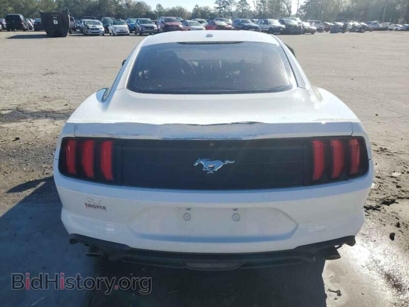 2019 Ford ALL MODELS (VIN 1FA6P8TH7K5141679) — photo 6 of 14