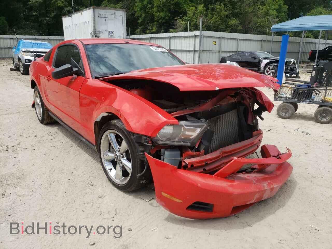 Photo 1ZVBP8AMXC5250189 - FORD MUSTANG 2012