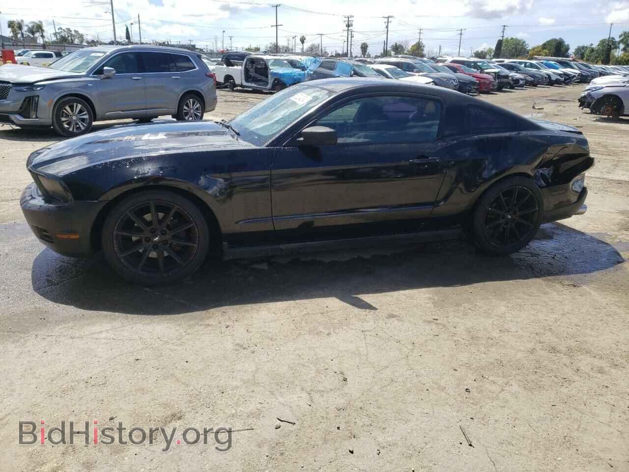 Photo 1ZVBP8AM3C5247649 - FORD ALL Models 2012