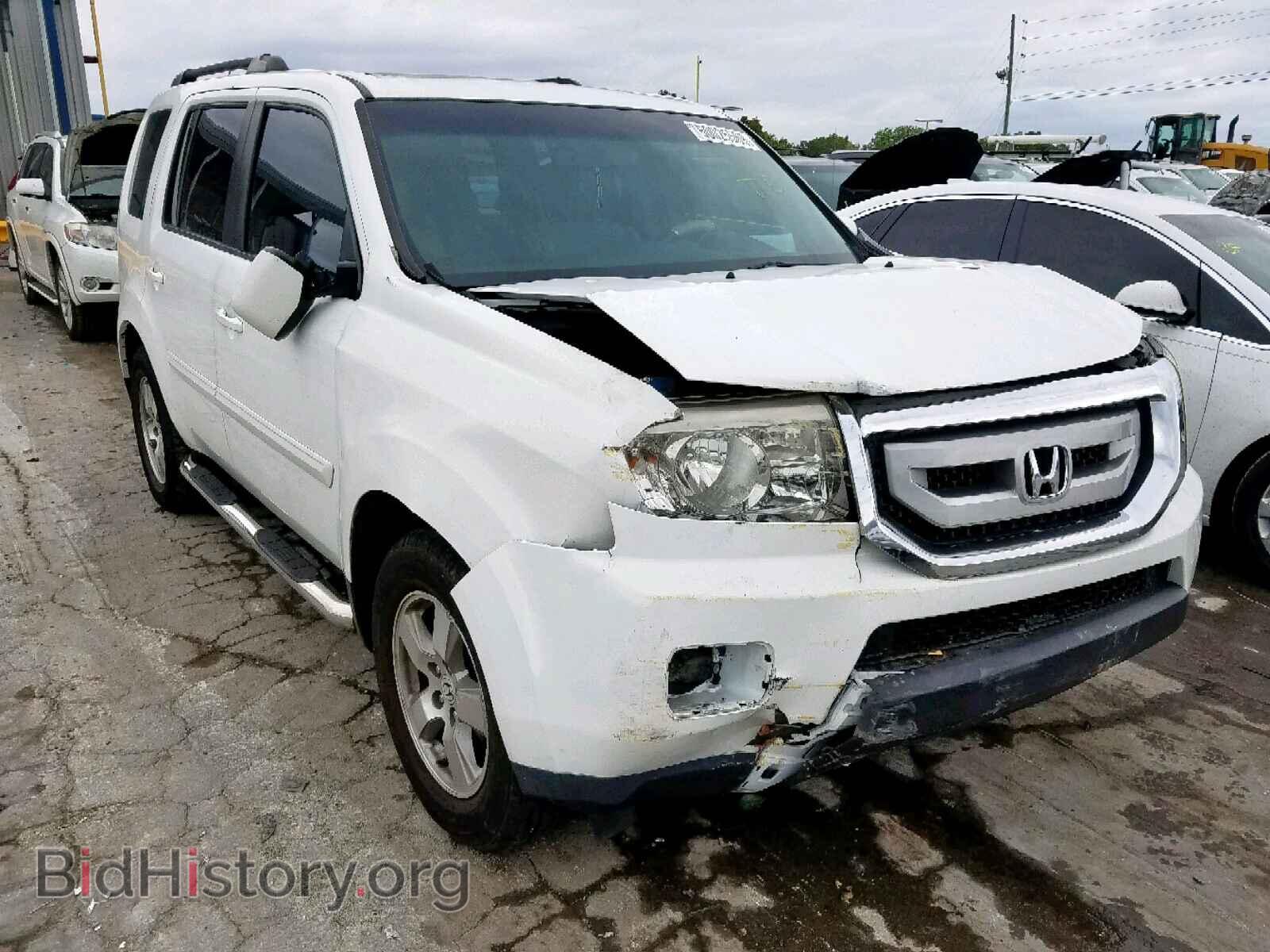 Photo 5FNYF3H52BB014831 - HONDA PILOT EXL 2011
