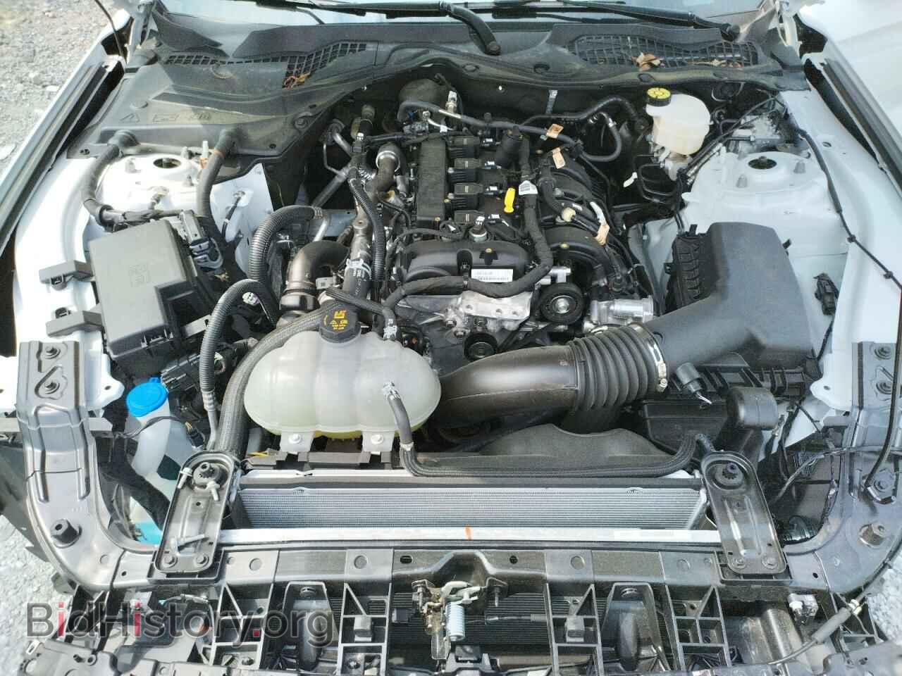 2021 FORD MUSTANG - VIN: 1FA6P8TH7M5155634 - Фото 7