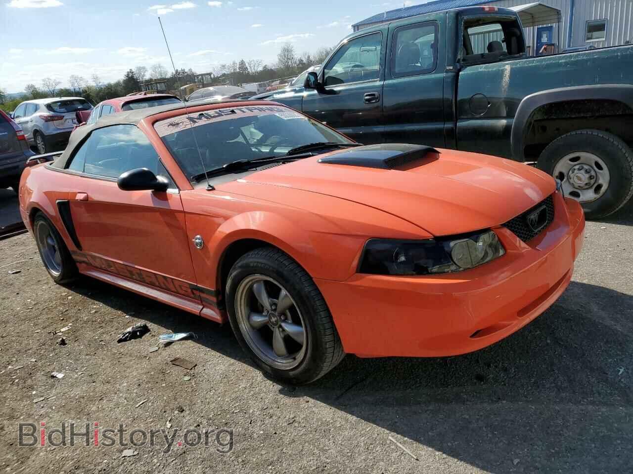 2004 FORD ALL Models - VIN: 1FAFP44684F140480 - Photo 4