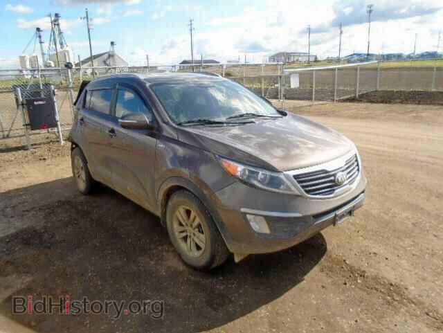 Фотография KNDPBCA28D7381183 - KIA SPORTAGE L 2013