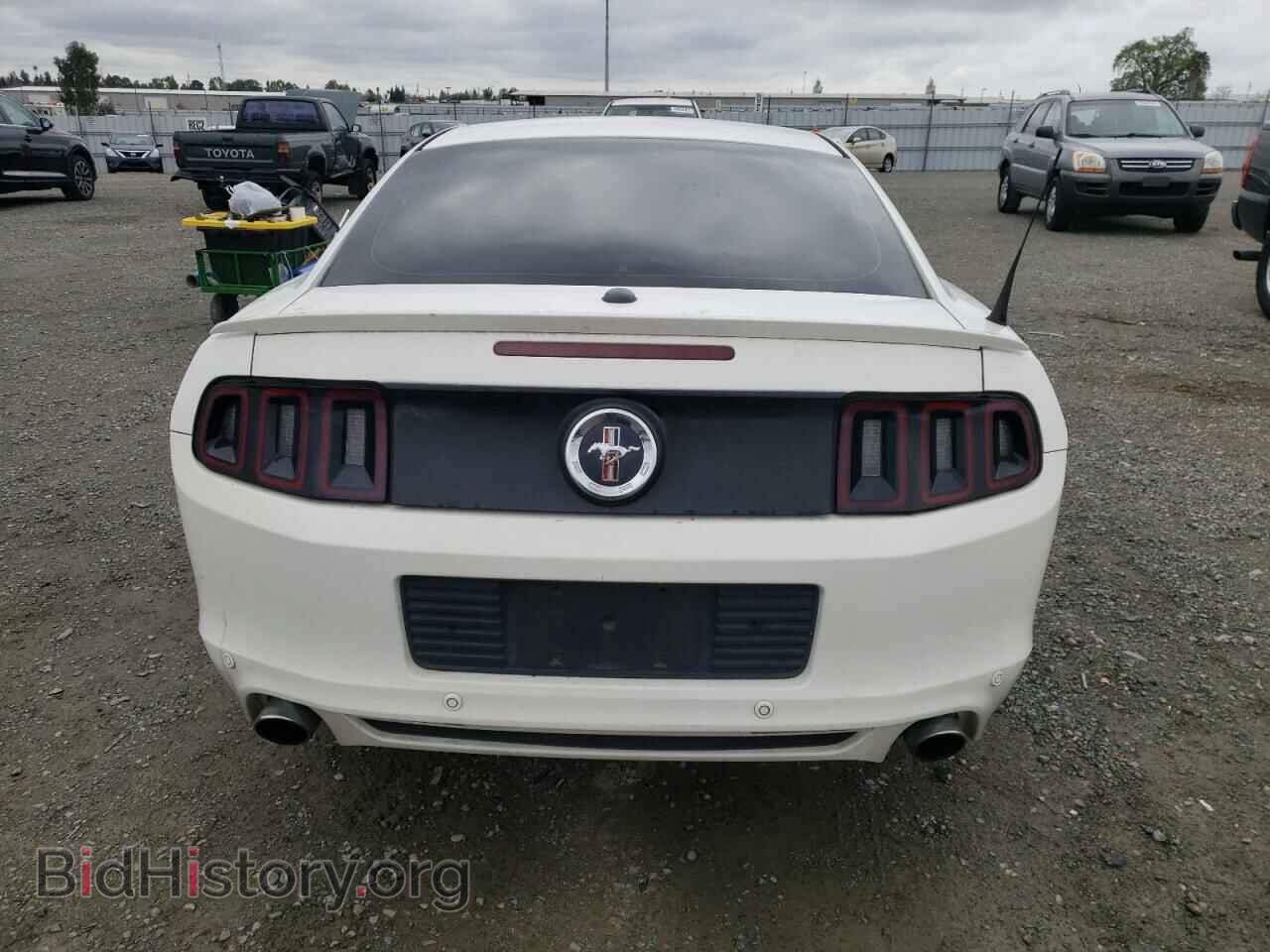2013 FORD ALL Models - VIN: 1ZVBP8AM3D5271855 - Фото 6