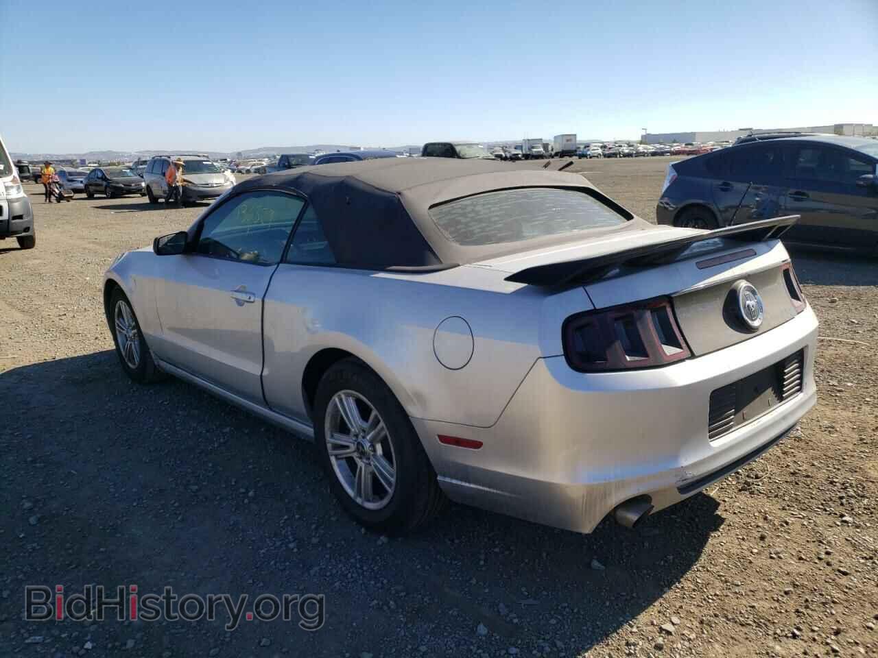 2013 FORD MUSTANG - VIN: 1ZVBP8EM1D5224673 - Фото 3