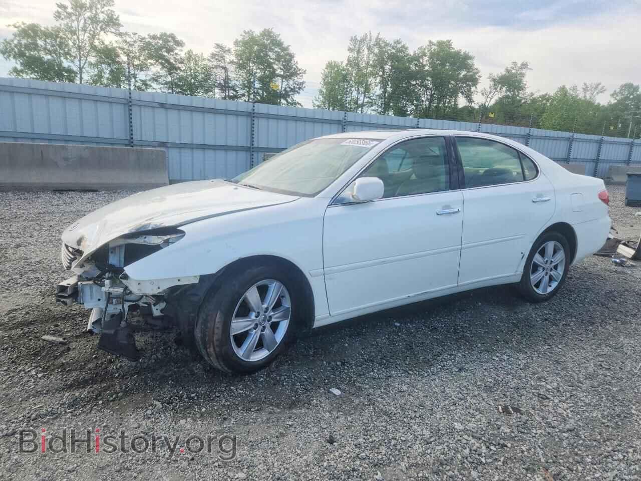 Фотография JTHBA30G465173096 - LEXUS ES 2006