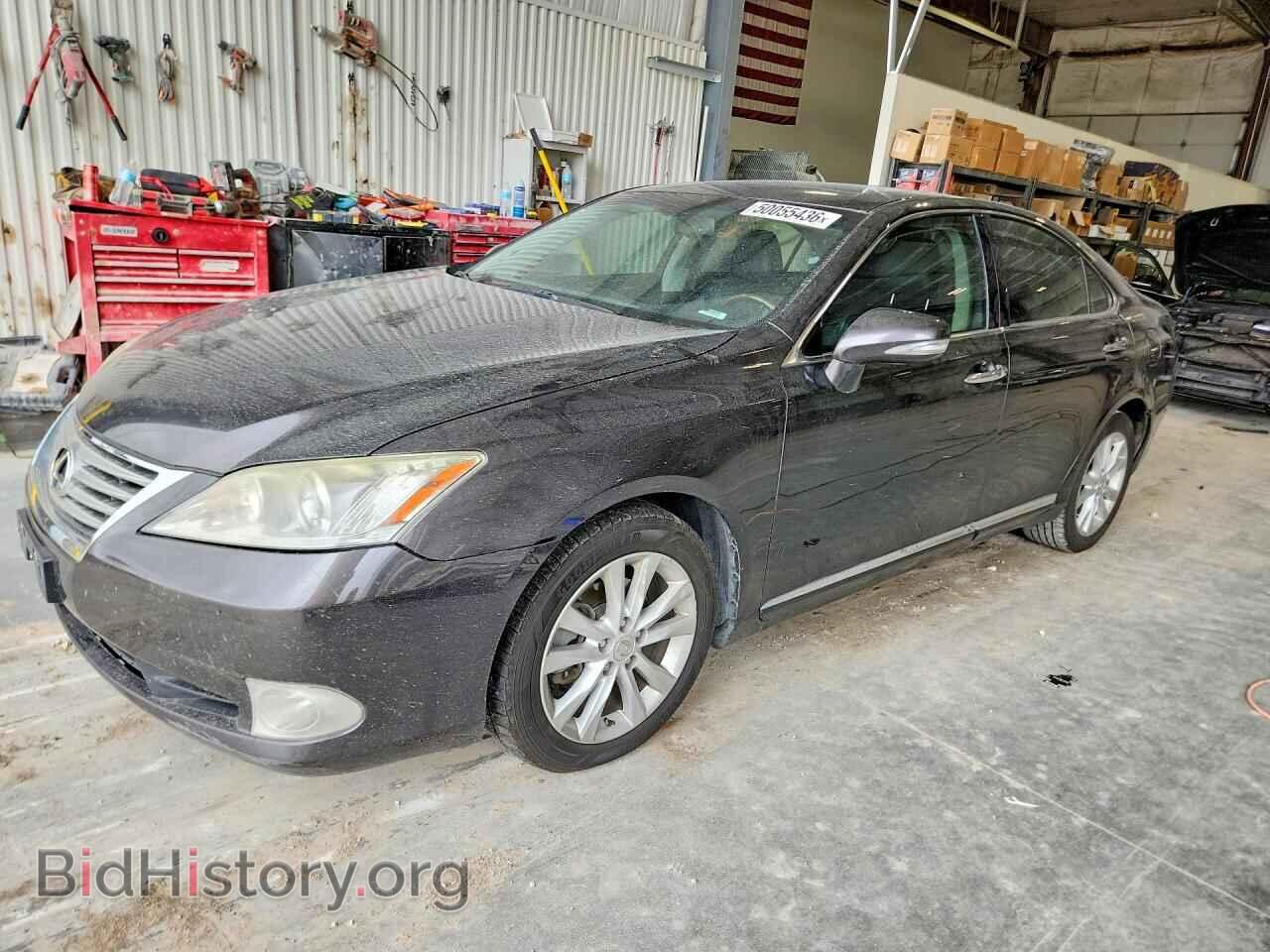 Фотография JTHBK1EG6A2406643 - LEXUS ES350 2010