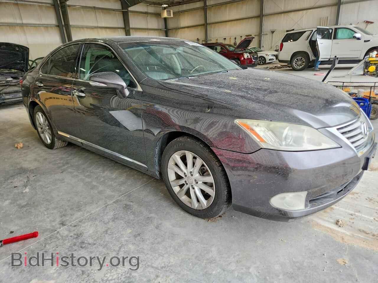 2010 LEXUS ES350 - VIN: JTHBK1EG6A2406643 - Фото 4