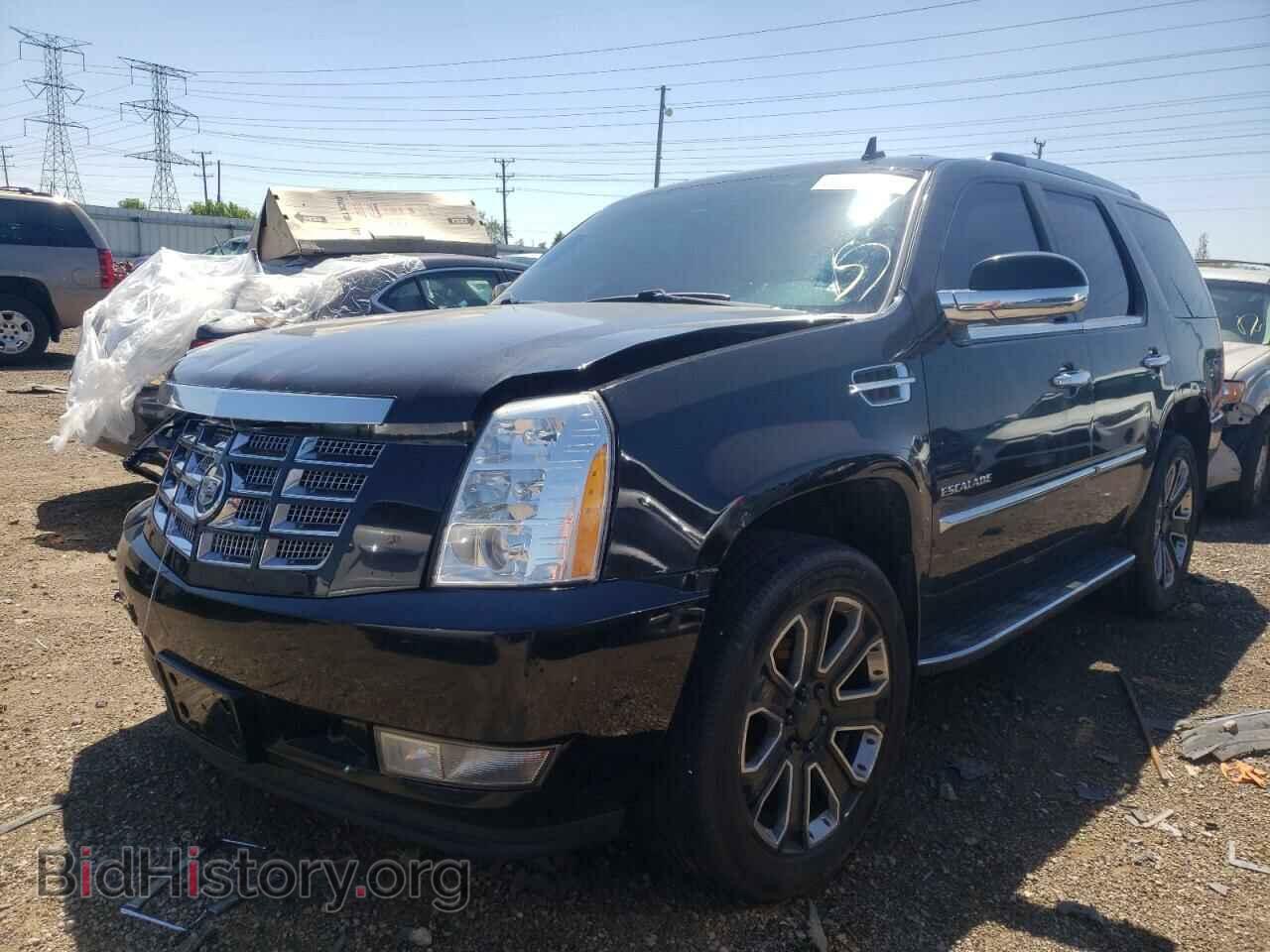 2010 CADILLAC ESCALADE - VIN: 1GYUKBEF8AR244829 - Фото 2