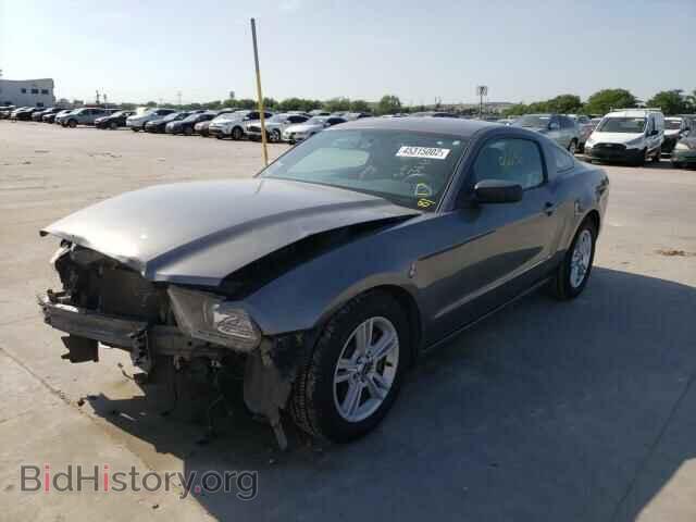 2013 FORD MUSTANG - VIN: 1ZVBP8AM2D5245960 - Фото 2