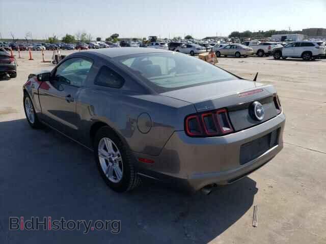 2013 FORD MUSTANG - VIN: 1ZVBP8AM2D5245960 - Фото 3