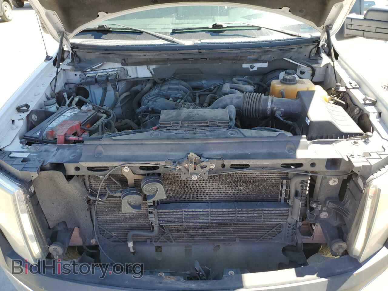 2013 FORD F-150 - VIN: 1FTEX1CM2DFE08735 - Фото 11