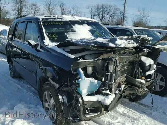Фотография 5FNYF4H51BB034834 - HONDA PILOT 2011