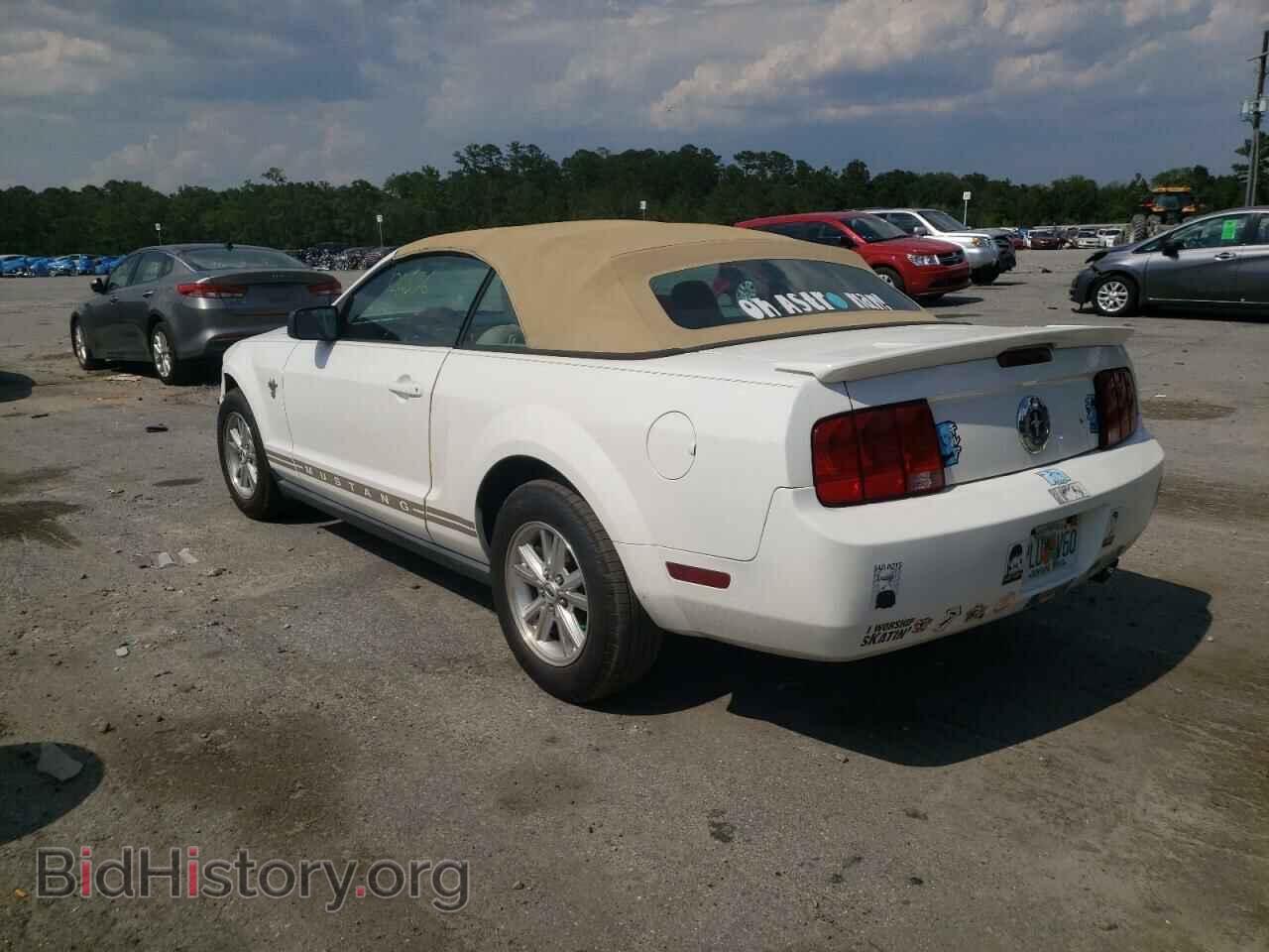2009 FORD MUSTANG - VIN: 1ZVHT84N395113002 - Фото 3
