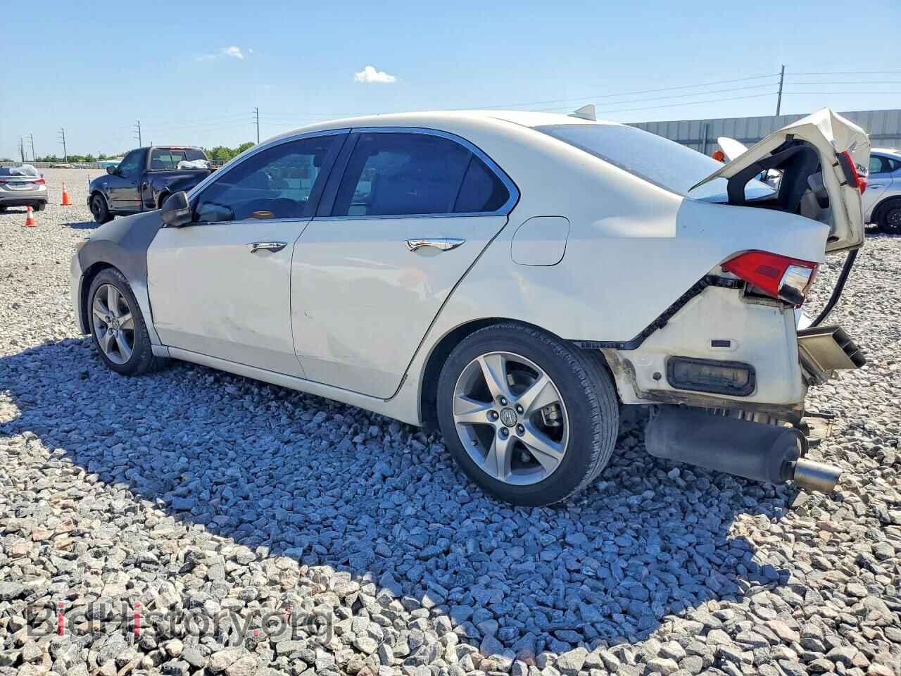 2011 ACURA TSX - VIN: JH4CU2F62BC004334 - Фото 2