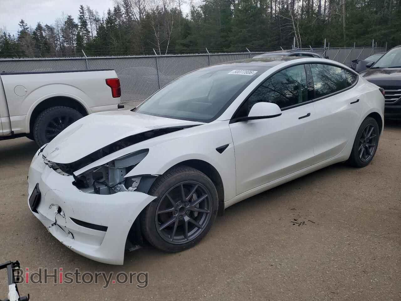 Photo 5YJ3E1EA2MF014320 - TESLA MODEL 3 2021