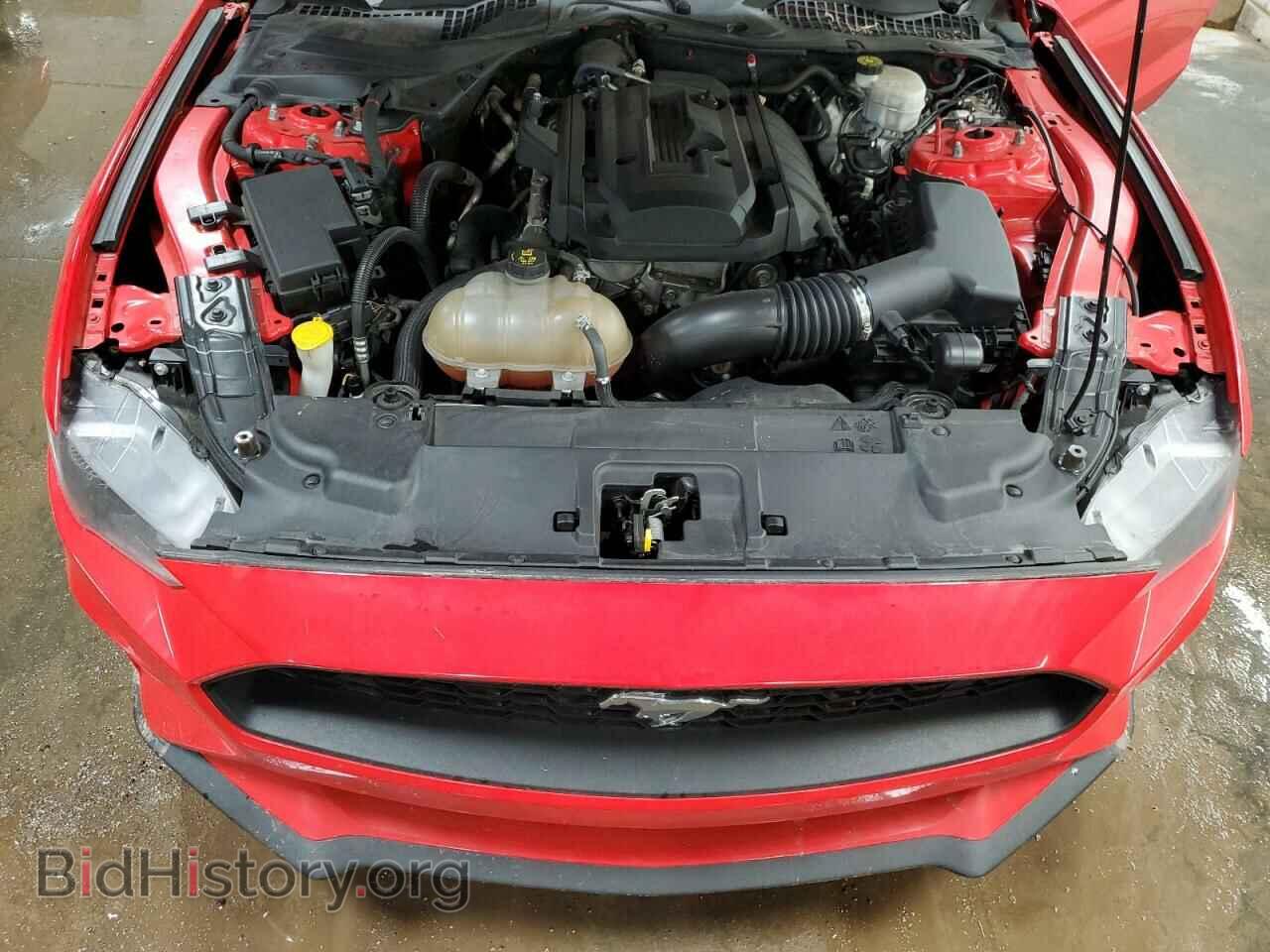 2019 FORD ALL Models - VIN: 1FA6P8TH2K5141444 - Фото 11