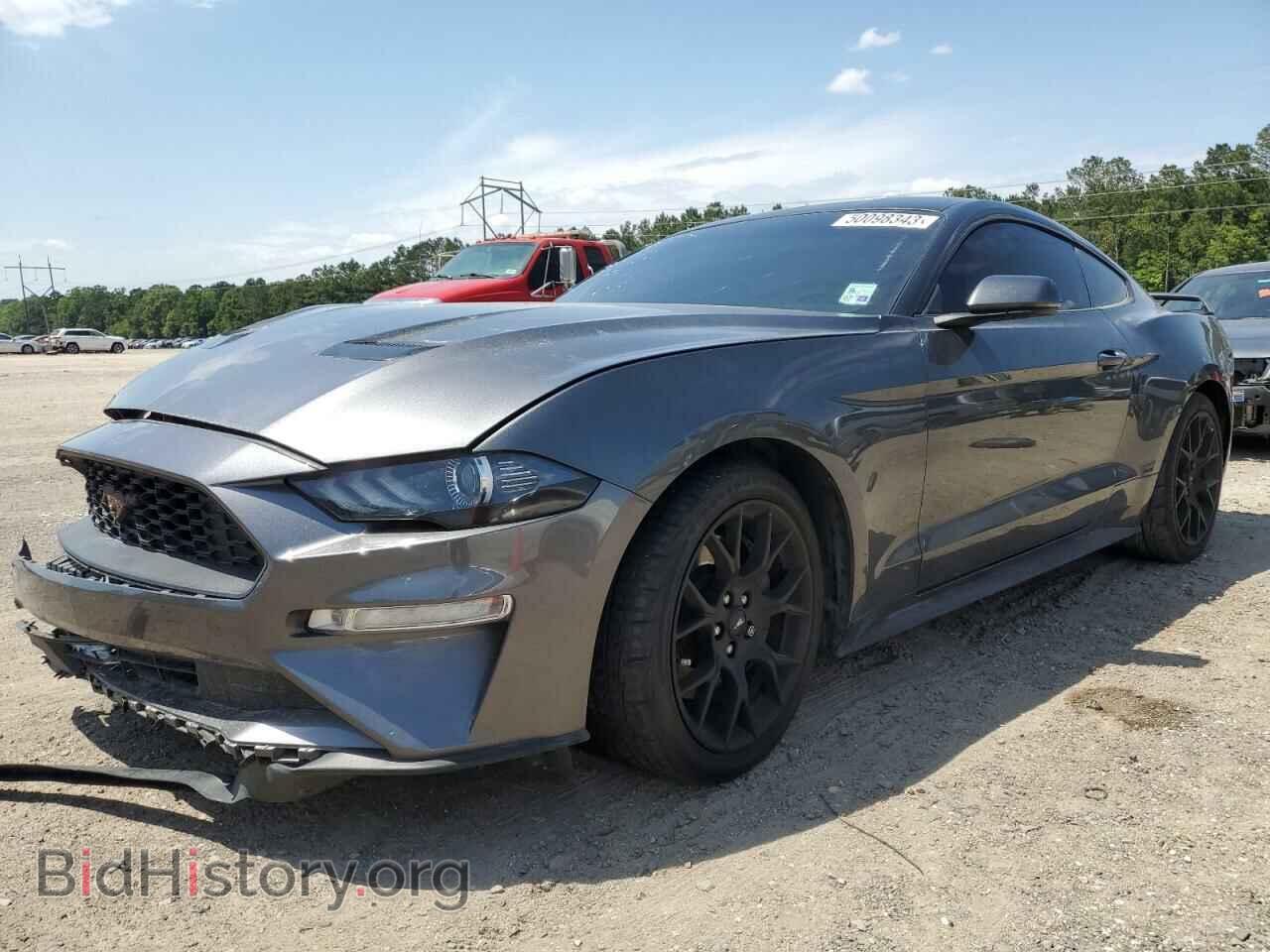 Фотография 1FA6P8TH5K5166662 - FORD ALL Models 2019