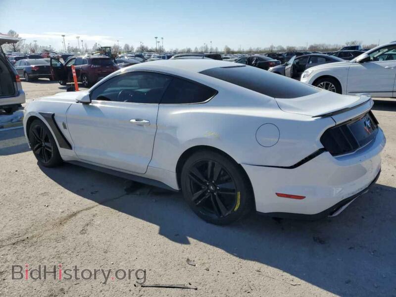2017 Ford ALL MODELS (VIN 1FA6P8TH8H5236874) — фото 2 из 15