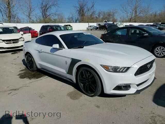 2017 FORD ALL Models - VIN: 1FA6P8TH8H5236874 - Фото 10