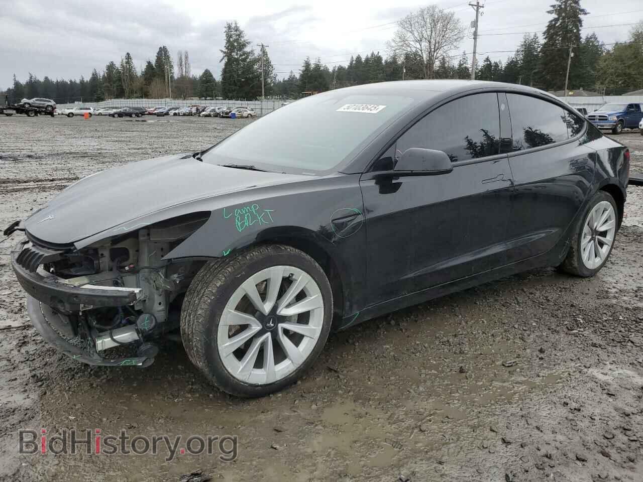 Photo 5YJ3E1EB9PF607217 - TESLA MODEL 3 2023