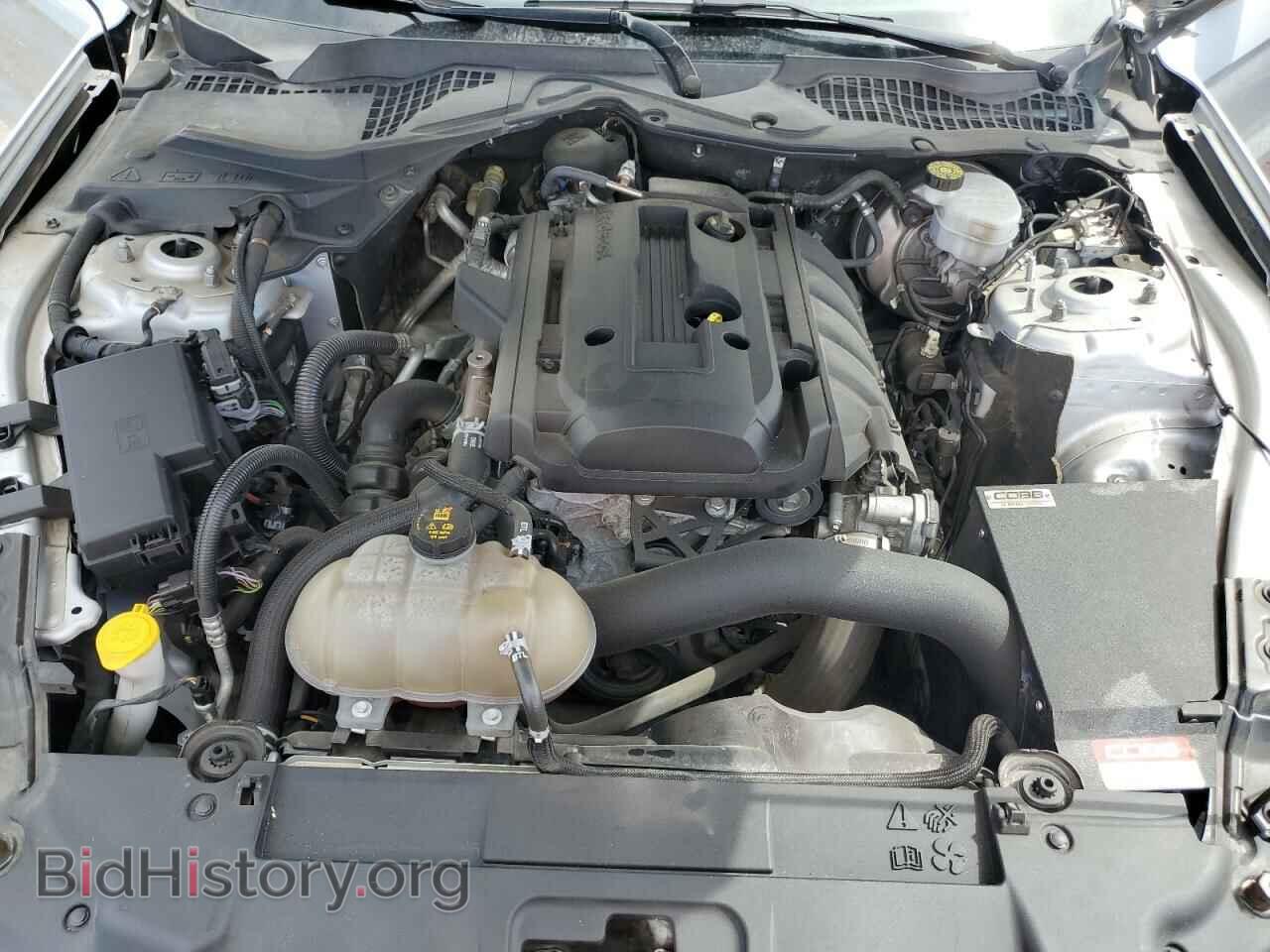 2019 FORD ALL Models - VIN: 1FA6P8TH4K5143552 - Фото 11