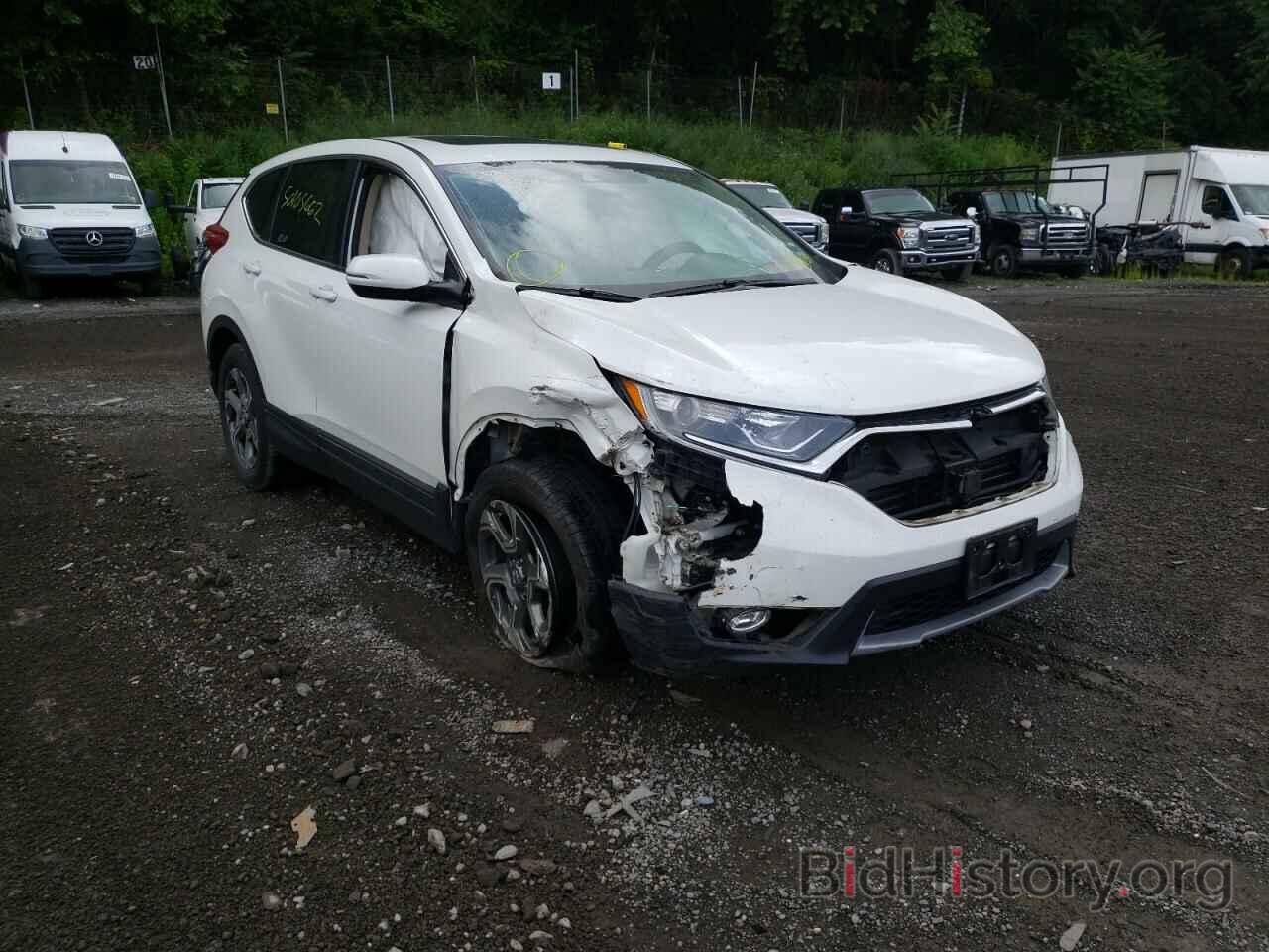 Photo 5J6RW2H55KA005638 - HONDA CRV 2019