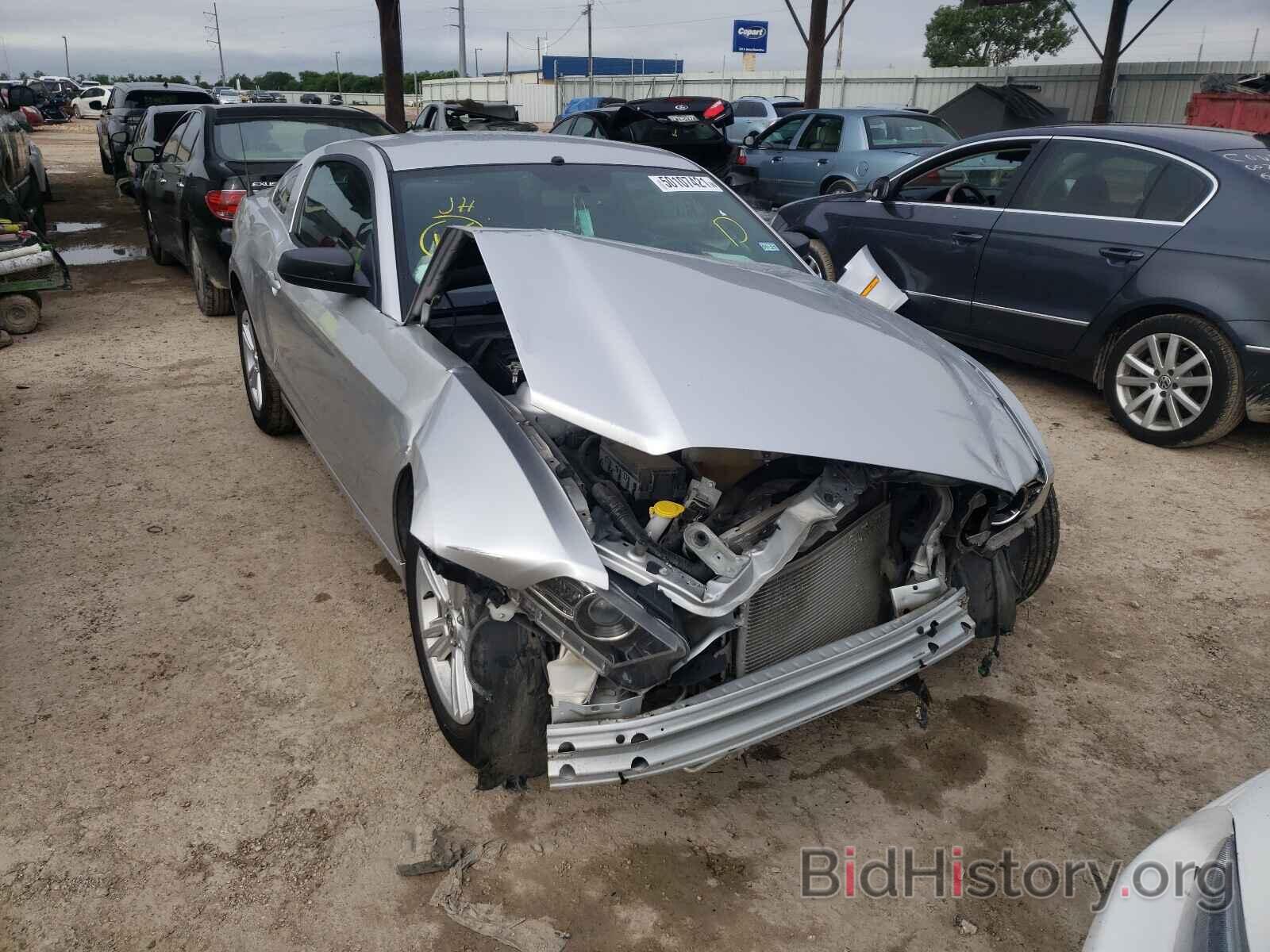 Photo 1ZVBP8AM1E5309701 - FORD MUSTANG 2014