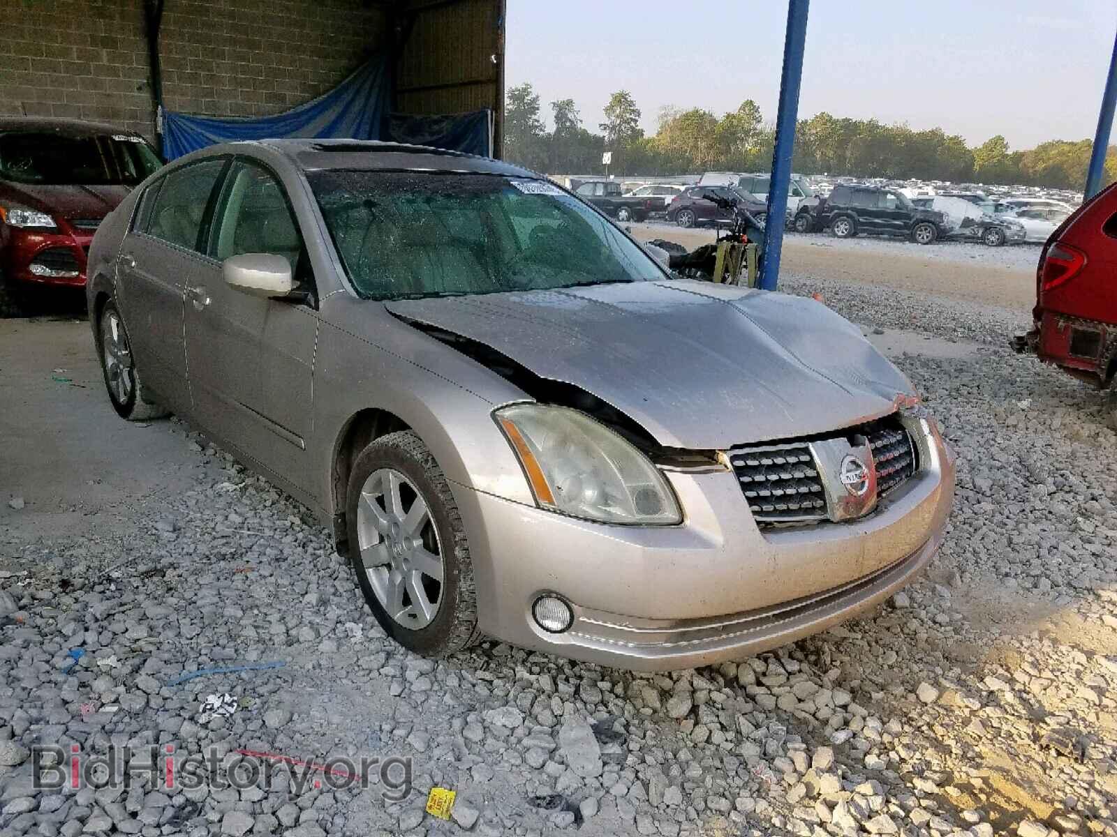 Photo 1N4BA41E16C846237 - NISSAN MAXIMA 2006