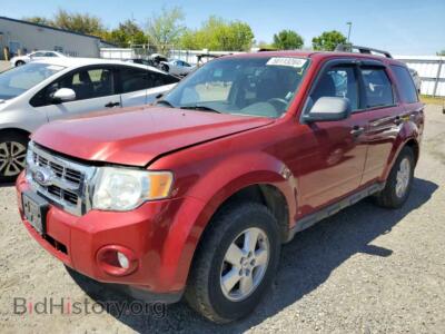 2010 Ford ESCAPE XLT, красный — VIN 1FMCU9DG0AKB66419, Copart