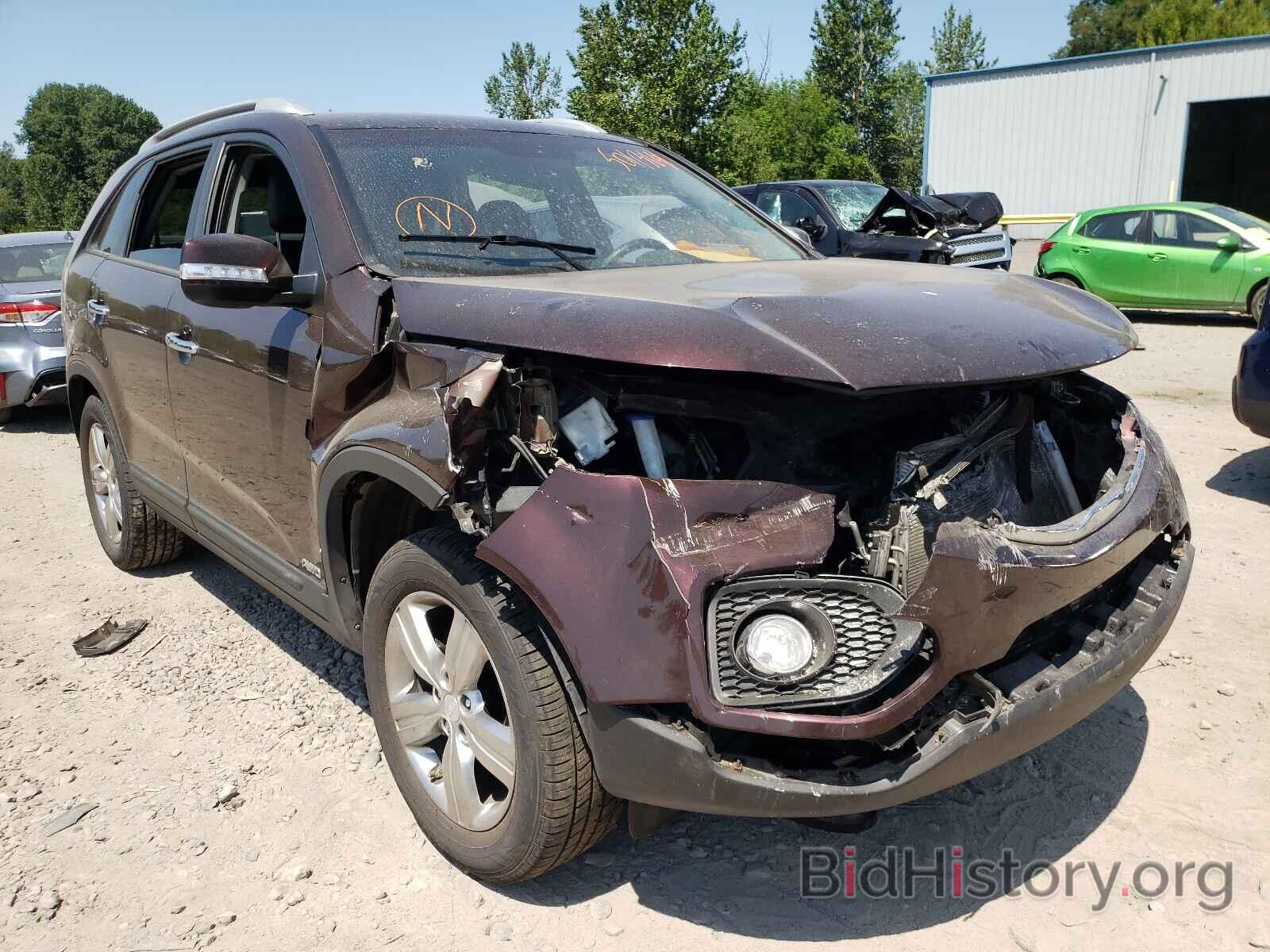 Photo 5XYKUDA67DG399027 - KIA SORENTO 2013