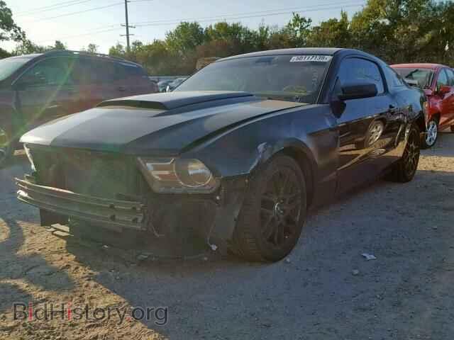 2012 FORD MUSTANG - VIN: 1ZVBP8AM9C5274645 - Фото 2