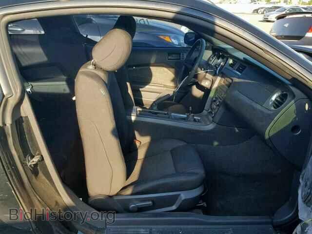 2012 FORD MUSTANG - VIN: 1ZVBP8AM9C5274645 - Фото 5